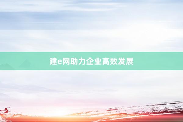 建e网助力企业高效发展